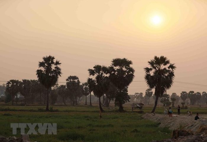  Dưới nắng chiều tà, những hàng cây thốt nốt in bóng lên nền trời, mang dáng vẻ đượm buồn mà lại lôi cuốn lạ lùng. (Ảnh: Phạm Hậu/TTXVN) 