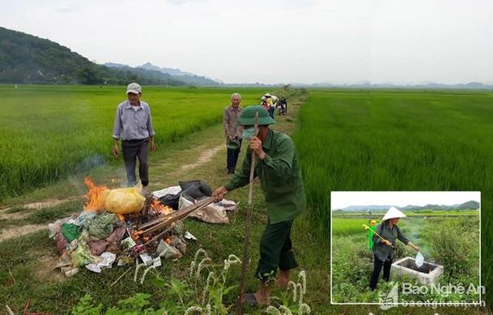 Hiện nay, các cơ sở hội nông dân ở huyện Anh Sơn đang triển khai rầm rộ phong trào “Sạch từ nhà ra đồng ruộng”. Ảnh: Thái Hiền