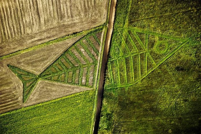 Ba Lan -Ukraine.Con cá khổng lồ này tượng trưng cho ranh giới quốc gia giữa hai nước. Người sáng tạo là nghệ sỹ Ba Lan Jarosław Koziara. 