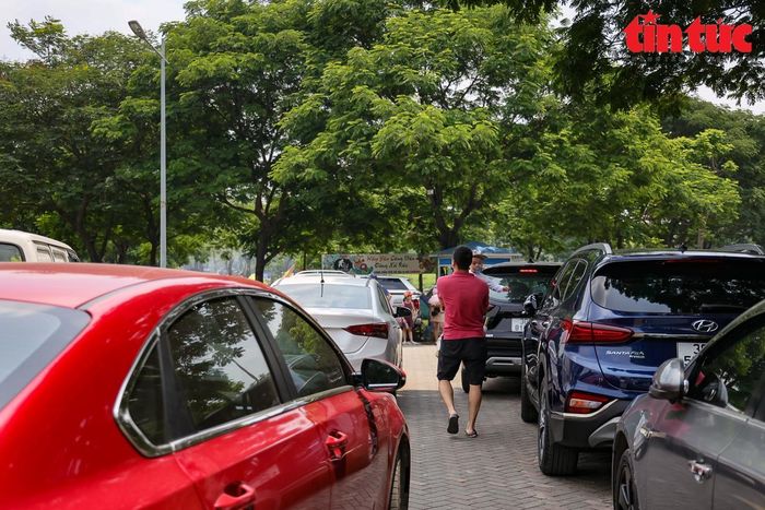 Các lối dẫn vào công viên đều được tận dụng để làm điểm đỗ ô tô.