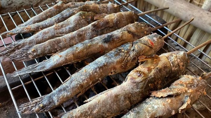 Cá thòi lòi đem về rửa sạch bùn, ướp muối ớt, rồi nướng trên bếp than. Chỉ một chút là mùi thơm của cá lan tỏa hòa quyện cùng mùi cay nồng của ớt cũng khiến cho thực khách phải xuýt xoa bởi hương vị đậm đà của món ăn này.