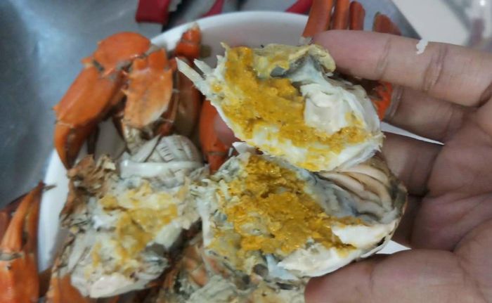 Cua yếm vuông cũng là loại hải sản có gạch thơm ngon. Ảnh: Nhật Tân.
