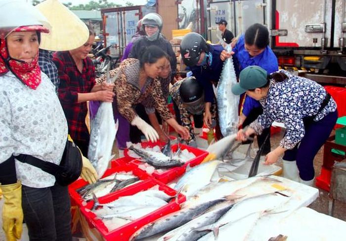 Tiểu thương mua hải sản tại cảng cá Cửa Hội, phường Nghi Hải, TX. Cửa Lò. Ảnh: Nguyên Châu