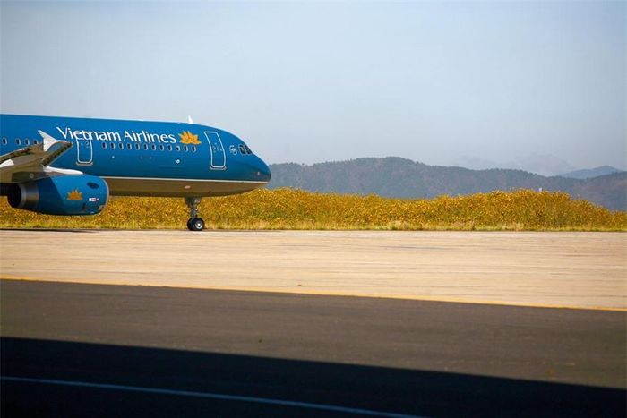 Cùng với nhà ga mới, sân bay Liên Khương đã đưa đường băng mới có chiều dài 3254m, rộng 45m vào khai thác, cho phép máy bay hạng trung như A320, A321 hoạt động. Vào khoảng tháng 11 là mùa hoa dã quỳ nở trên Tây Nguyên, có thể thấy bạt ngàn hoa dã quỳ ở sân bay Liên Khương bên những đường băng.