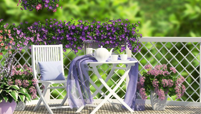 Ảnh: Shutterstock