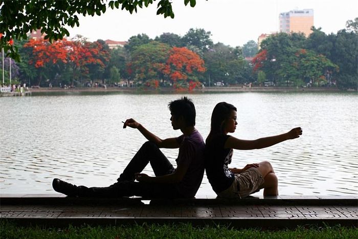 Mỗi loài hoa, mỗi mùa hoa mang lại một vẻ đẹp riêng cho từng góc hồ; nhưng ấn tượng nhất phải là mùa hè – khi những cây phượng bên hồ ra hoa.