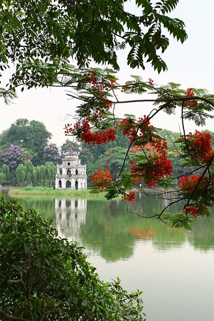 Xung quanh Hồ Gươm có rất nhiều loại cây, hình như chưa có một thống kê chính xác nào; nhưng những loài cây nở hoa có thể kể ra thì nhiều lắm: lộc vừng, ban, vông, sưa, sấu, điệp, bằng lăng, phượng…