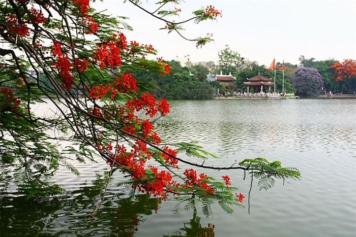"Lẵng hoa Hồ Gươm", có thể là một so sánh ẩn dụ về một sự nhỏ nhắn mà tinh tế, thanh tao, nhưng cũng có thể là một cách nhìn đầy hồn nhiên của một đứa trẻ nhỏ.