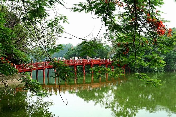 Mùa phượng rồi cũng tàn. Còn chăng đâu đó vài đốm lửa đỏ còn nán lại.