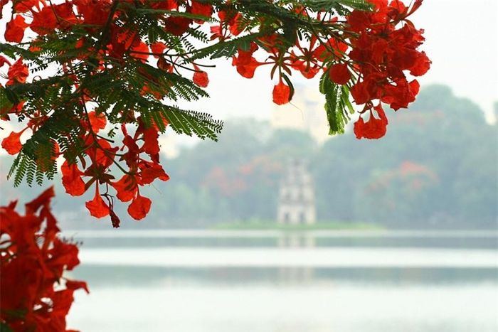 Thoáng chốc rồi cũng lại thành xa xôi…