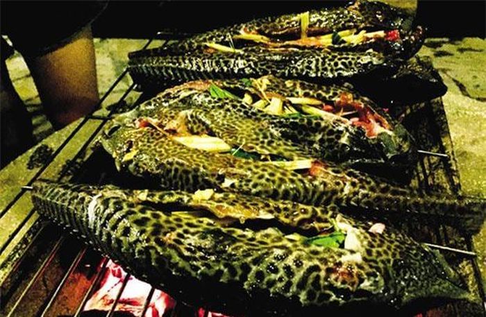 Do cá lau kiếng thịt ngon nhưng khi còn sống mùi sẽ rất tanh, nên người miền Tây nghĩ ra cách nhét thêm sả vào bụng cá.