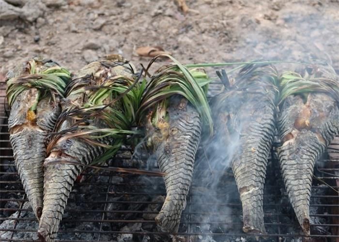 Một trong những món ăn đơn giản, dễ làm nhất từ cá lau kiếng chính là món nướng