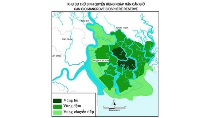 Kết quả nghiên cứu xác lập bản đồ nhạy cảm môi trường khu vực từ Bà Rịa - Vũng Tàu đến Cần Giờ của GS-TS. Nguyễn Văn Phước và ThS. Nguyễn Thị Thu Hiền cho biết: Cần Giờ là khu vực có nhiều khả năng chịu tác động với mức độ nhạy cảm môi trường khá cao. Ảnh: TL
