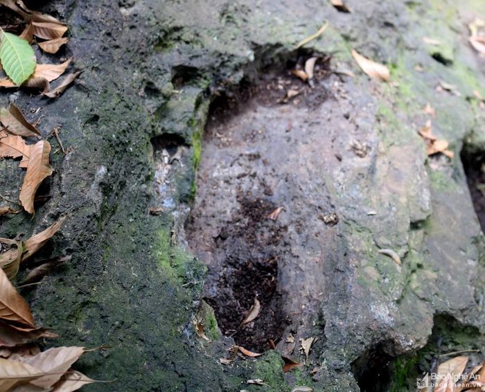 Mặt trên của khối đá khá bằng phẳng. Đặc biệt có những vết lõm sâu khoảng 3 cm, dài khoảng 0,4m, rộng tầm 0,15m giống như hình bàn chân người. Các dấu chân “khủng” nằm dọc theo khối đá. Trong ảnh: dấu bàn chân "khủng" trái. Ảnh: Huy Thư