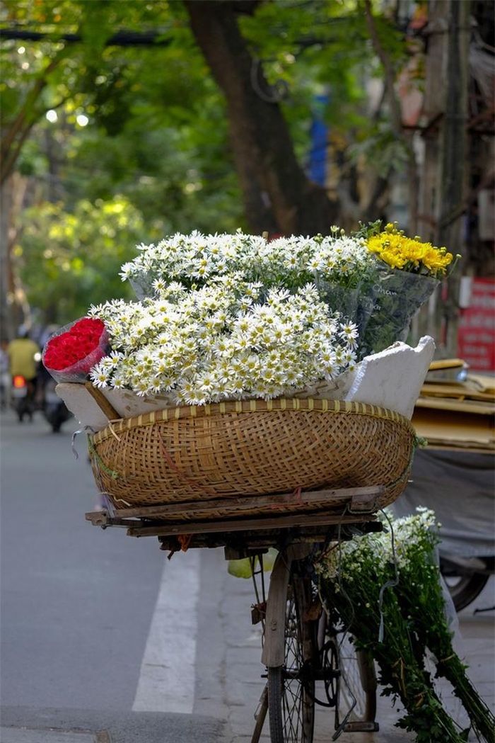 Những bó cúc họa mi đẹp dịu dàng nở bừng trong nắng sớm trên xe hàng rong báo hiệu mùa đông đã về.