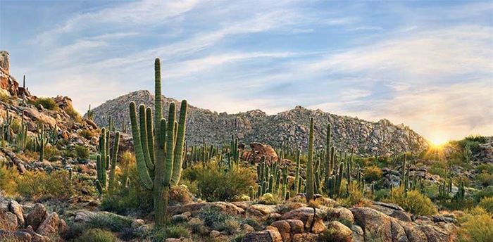 Nhiều nắng nhất: Arizona, Mỹ là vùng đất nhiều nắng nhất trên trái đất với trung bình 11 tiếng liên tục có ánh sáng mặt trời mỗi ngày. 