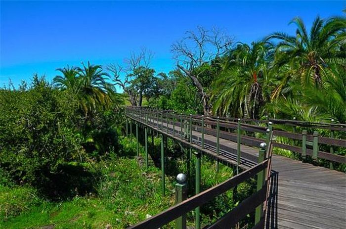 Kenya là đất nước có thời tiết tốt quanh năm nhưng lại tụt hậu trong một số lĩnh vực khác. An ninh không đảm bảo, 28% người nước ngoài được hỏi đánh giá không tốt, ít hơn 23% so với mức trung bình toàn cầu. Ngoài ra, chi phí sinh hoạt cũng rất cao, chỉ có 3% người được hỏi đánh giá là tốt.