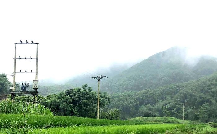 Hệ thống điện lưới hoàn thiện, cung cấp điện cho 100% hộ dân trong xóm