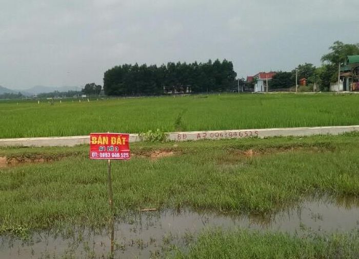 Các lô đất nền ở xã Sơn Thành (Yên Thành) được cắm biển mua đi bán lại nhiều lần. Ảnh: Văn Trường