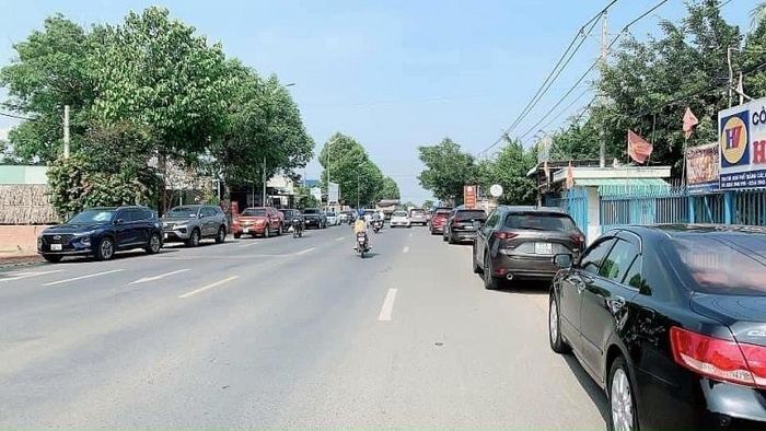 Xe cộ tấp nập.