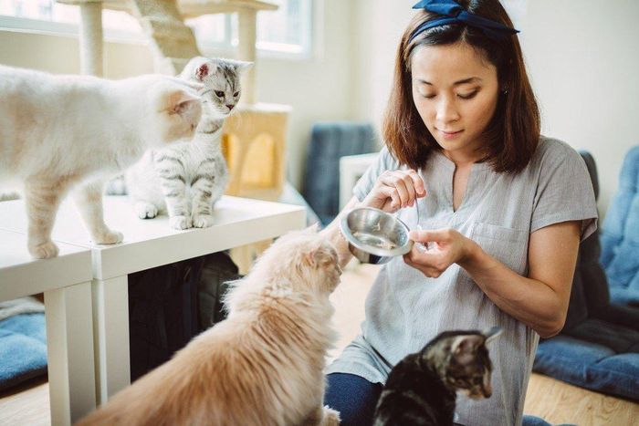 Thị trường thú cưng Trung Quốc đã phát triển với quy mô lớn với nhiều tiềm năng kinh doanh.