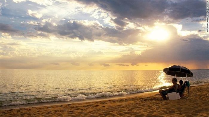 Có rất nhiều bãi biển cho bạn lựa chọn ở Punta del Este từ bãi biển El Chileno và El Emir với những địa điểm hấp dẫn dành cho những người lướt sóng tới bãi tắm khỏa thân thân thiện Chihuahua.