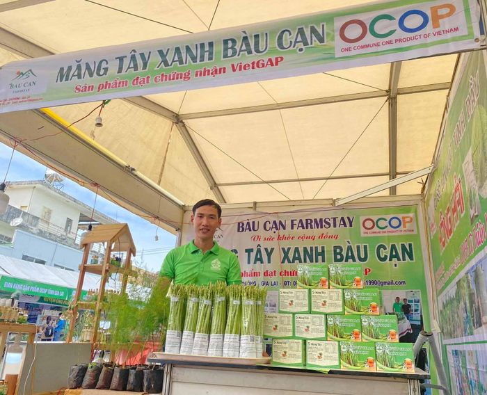Sản phẩm măng tây xanh của anh Trần Văn Hạnh (thôn Đồng Tâm, xã Bàu Cạn, huyện Chư Prông) đã đạt được chứng nhận OCOP cấp tỉnh. Ảnh: Phan Lài