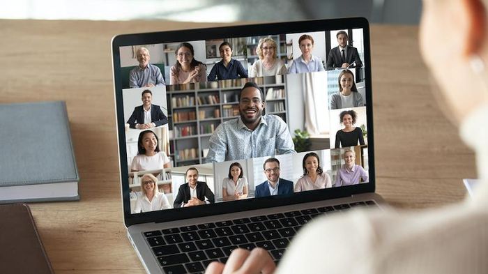 Họp online do phải giãn cách xã hội vì đại dịch Covid-19. Ảnh: Council of Europe
