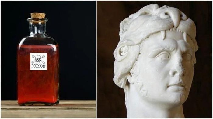 Loại thuốc giải bách độc được đặt là Mithridatium - theo tên vị vua Mithridates VI. Trải qua nhiều thập kỷ cùng với nhiều biến cố, phương thuốc trên bị thất truyền. Hiện các chuyên gia cố gắng tìm kiếm công thức của loại thuốc trên.