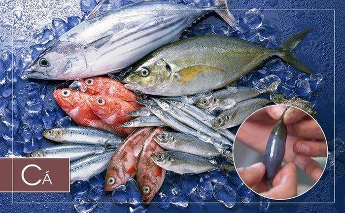 Mật cá là bộ phận cần loại bỏ ngay (Ảnh minh họa)