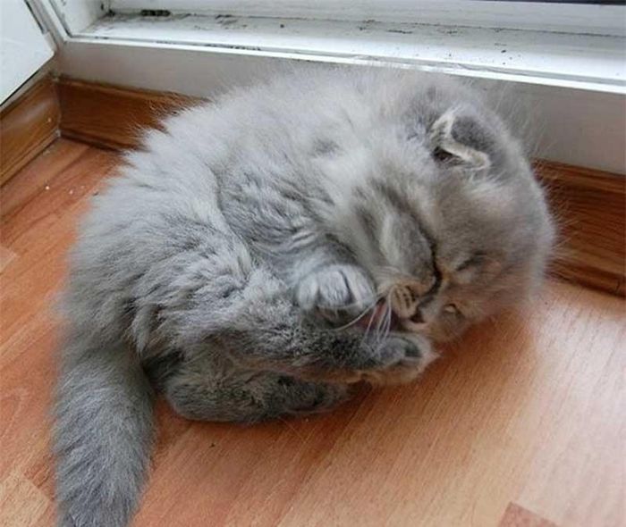 Lạnh thế này thì sao mà ngủ đây.