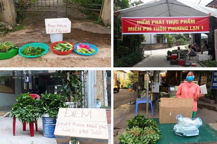 Vợ chồng anh Hoàng Lập hái гau, dưa chuột trong vườn mang ra đầu ngõ, treo tấm biển “Rau miễn phí cứ lấy nhé”, rồi thông báo lên mạng xã hội 8/5.