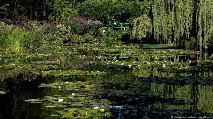 Hoa súng nở trong khu vườn biểu tượng của Claude Monet ở Giverny (Pháp)