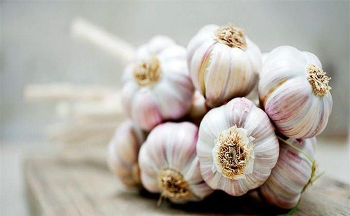 Các nghiên cứu phát hiện ra rằng, việc ăn quá nhiều tỏi có thể gây ra chứng phù du, nghĩa là xuất huyết bên trong khoang mắt - khoảng trống giữa mống mắt và giác mạc. Dùng tỏi với liều lượng lớn khi đang dùng thuốc chống đông máu có thể gây mất thị lực vĩnh viễn. Ảnh minh họa: Internet 
