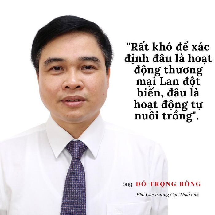 Phóng viên: Theo ông, cái khó của ngành thuế trong việc thu thuế giao dịch “Lan đột biến” hiện nay là gì?