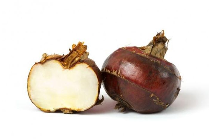 Vậy nhưng, tương tự như cần tây, dẻ nước là thực phẩm dễ nhiễm kí sinh trùng. Trong số đó, loại giun gừng thường được tìm thấy ở loại củ này.