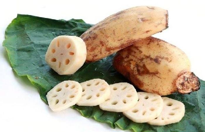 Đặc biệt, lượng xenlulo có nhiều trong củ sen mang lại tác dụng làm sạch ruột, phòng ngừa táo bón, làm mềm phân. Ăn củ sen thường xuyên giúp nhuận tràng, ngăn ngừa táo bón và tiêu hóa tốt hơn.