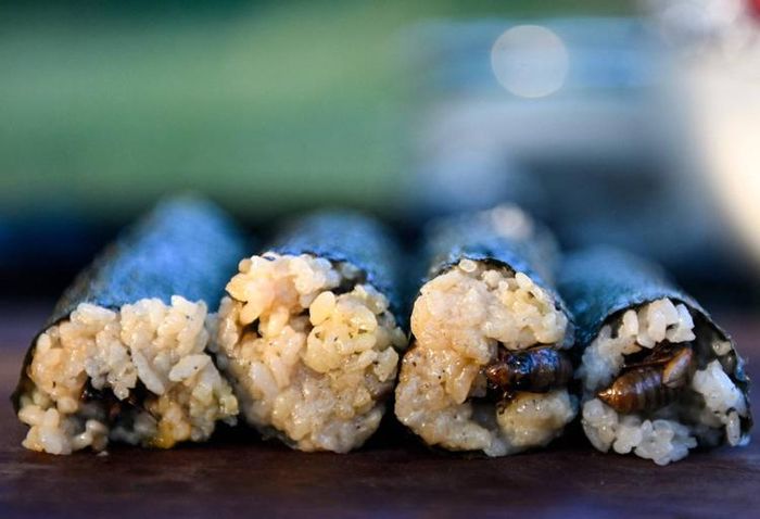 Món sushi chế biến từ ve sầu. Ảnh: AFP
