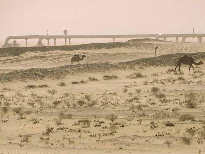 Đường ống dẫn dầu khổng lồ chở dầu từ Dhahran, Saudi Arabia, gần nơi dầu được phát hiện đầu tiên ở nước này. (Nguồn: Emory Kristof, National Geographic)