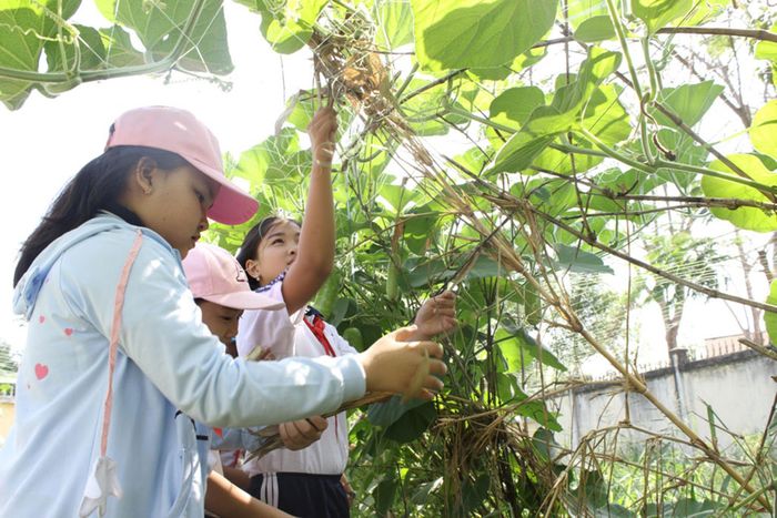 Học sinh Trường Tiểu học An Vĩnh Ngãi (tỉnh Long An) trồng rau sạch làm "Kế hoạch nhỏ".