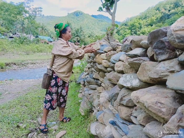 Bà Vi Thị Bằng cho biết làm hàng rào bằng đá chắc chắn hơn, không sợ trâu, bò vào ruộng phá hoại. Thay vì xếp một lần, người dân địa phương sẽ xếp đá mỗi ngày một ít, lâu dần hàng rào sẽ cao, dài hơn. Ảnh: Tiến Đông
