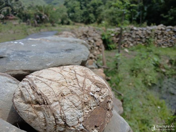Những viên đá cuội, đá suối nhiều vân được xếp chồng lên nhau. Ảnh: Tiến Đông