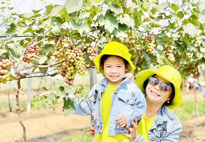 Biết đến vườn nho, nhiều người dân ở TP.Biên Hòa đã đến tham quan, chụp hình tại vườn nho. Ảnh: Facebook Nguyễn Thủy MC