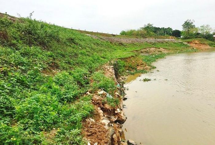 Vị trí đê hữu sông Cà Lồ xảy ra sự cố sạt lở tại xã Xuân Nộn, huyện Đông Anh.