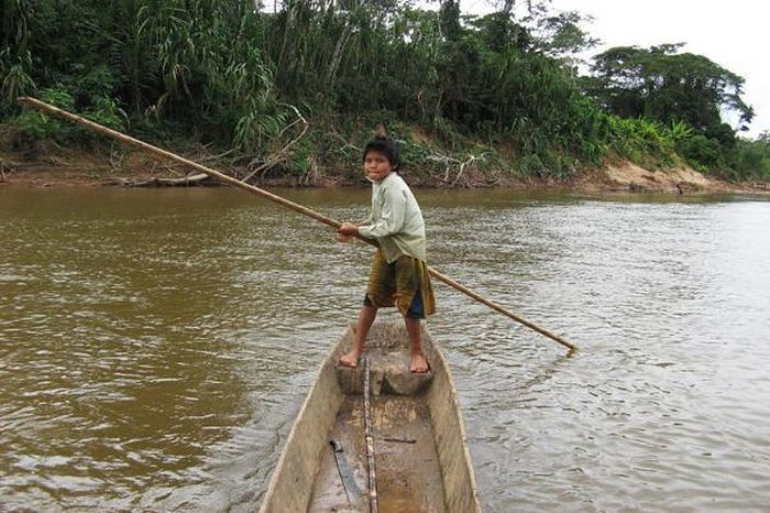 7% đến từ cá nước sạch, trong đó bao gồm cá piranha và cá da trơn. Phần còn lại đến từ lúa, ngô, các loại củ được trồng từ đồng ruộng, cũng như các loại trái cây và hạt mà họ thu lượm được.
