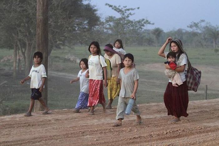 Người Tsimané vận động rất nhiều do cuộc sống hàng ngày của họ xoay quanh việc đi săn bắn, hái lượm, câu cá, và làm ruộng. Bởi vậy, tính trung bình, một ngày người Tsimané - cả nam và nữ - đều hoạt động tay chân từ 4-7 tiếng.