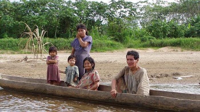 Các nhà nghiên cứu đã tới thăm 85 ngôi làng của người Tsimané từ năm 2014 đến năm 2015, sau đó tiến hành chụp CT cho gần nhứ tất cả những người Tsimané có độ tuổi lớn hơn 40.