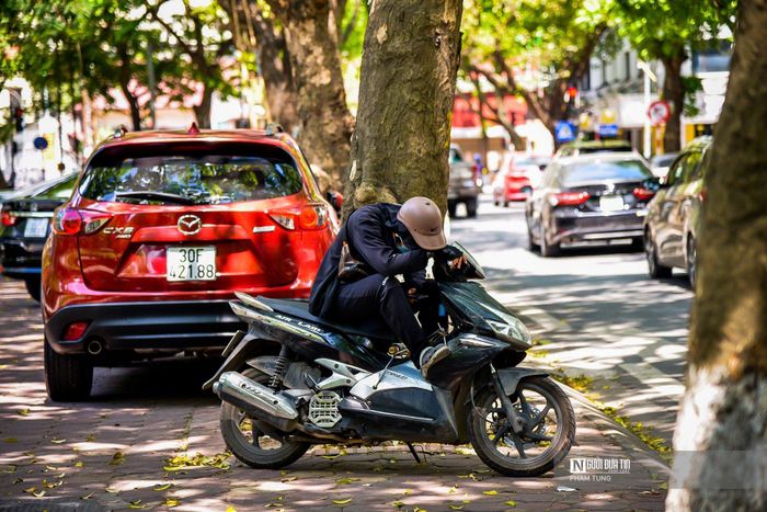 Thời tiết oi bức, nhiều người tìm đến những bóng râm để nghỉ trưa