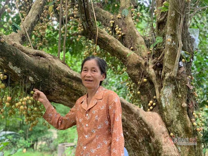 Bà Trần Thị Hòa bên gốc cây dâu da cổ thụ của gia đình