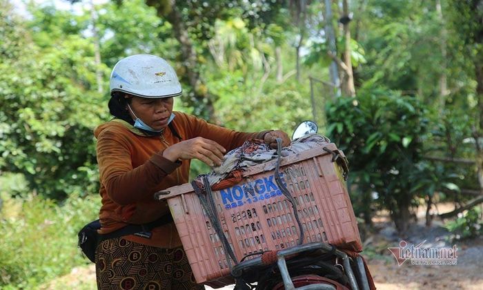 Tiểu thương thu mua giá sỉ đưa ra quốc lộ bán